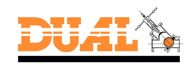 Dual Valve